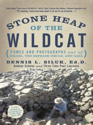 cover image of Stone Heap of the Wildcat